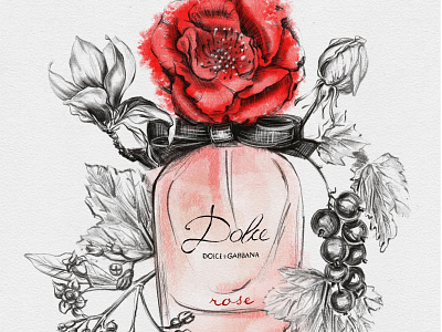 Dolce Rose D&G branding design graphic design illustration