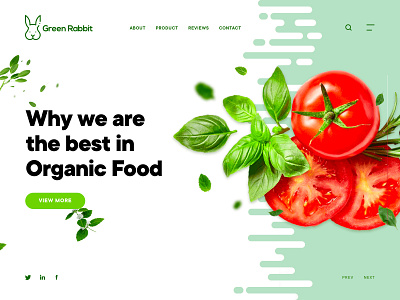 Green Rabbit Organic Food awesome branding design minimal typography ui web website concept website design