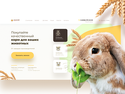 Pet food concept animation corporate interaction orange pet pets rabbit ui ux web