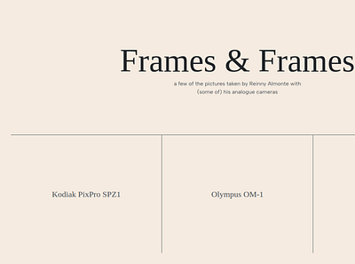 Frames & Frames | art gallery website branding design ux website