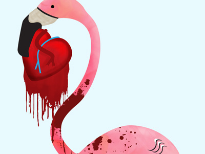 Flamingo blood flamingo illustration