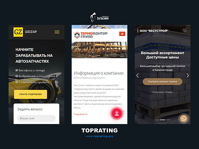 Kaliningrad Web Development - TOPRATING #04