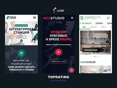 Kaliningrad Web Development - TOPRATING #02