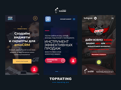 Kaliningrad Web Development - TOPRATING #01