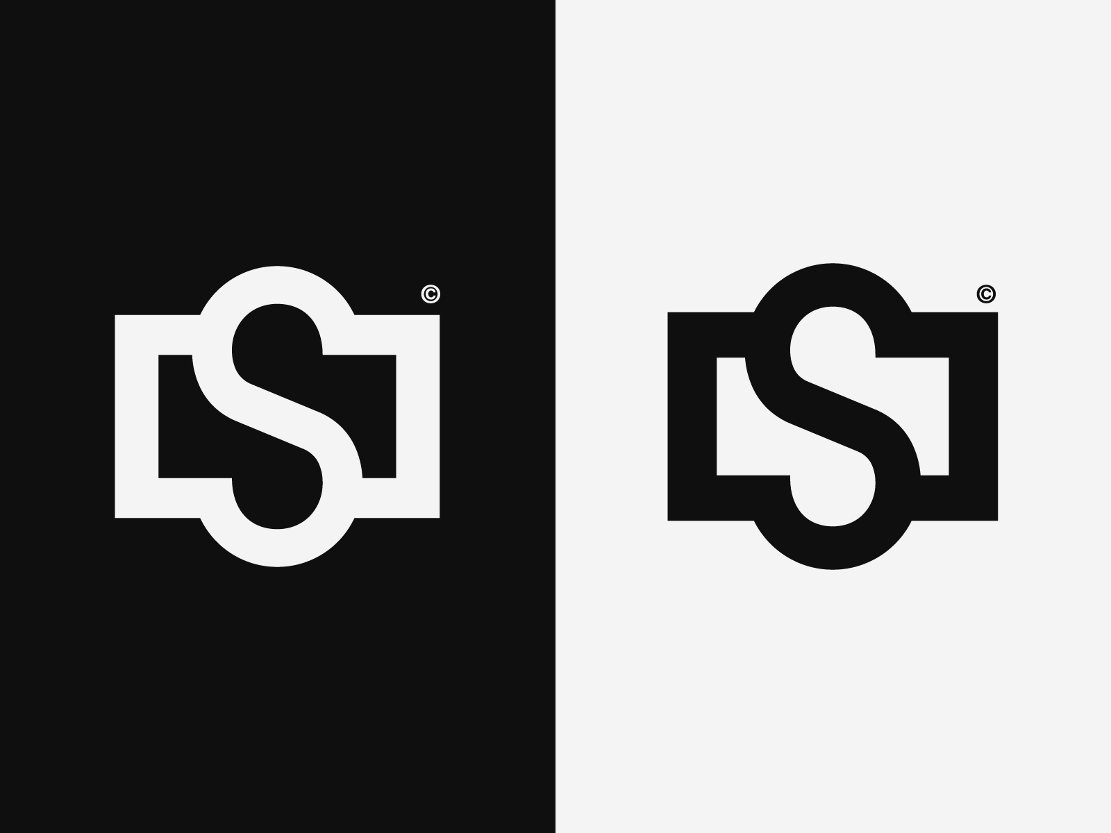 S initial photography logo template design Vector Image