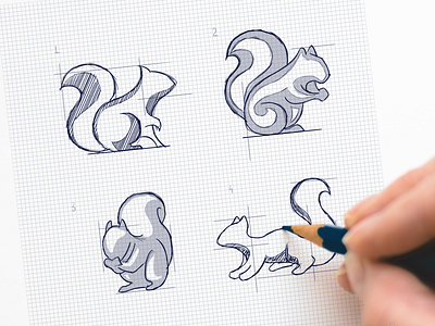 Squirrel Logo Sketches