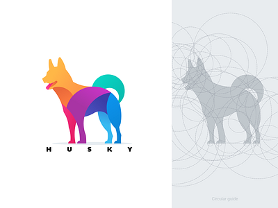 Circular Grid Designs Themes Templates And Downloadable Graphic Elements On Dribbble Circular Grid Designs Themes Templates And Downloadable Graphic Elements On Dribbble