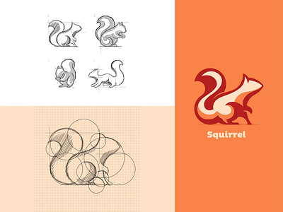 Squirrel Illustration Based on Circular Guides animal circles illustration logo squirrel