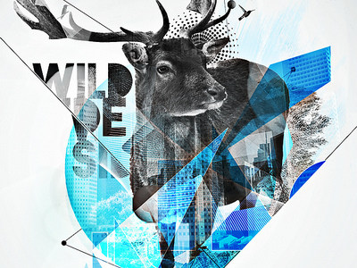 Wildside animal deer dibon graphic design sebastien vandenwouwer vs creations wild