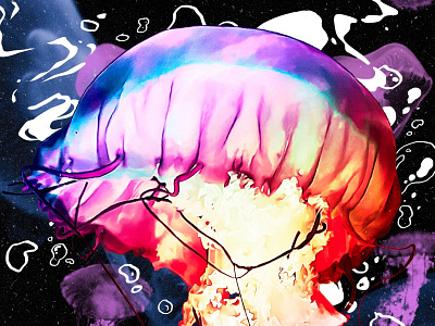 Renataia's Love Guide bastianrestrepo bs illustration infographic information jelly fish jellyfish love ocean sea