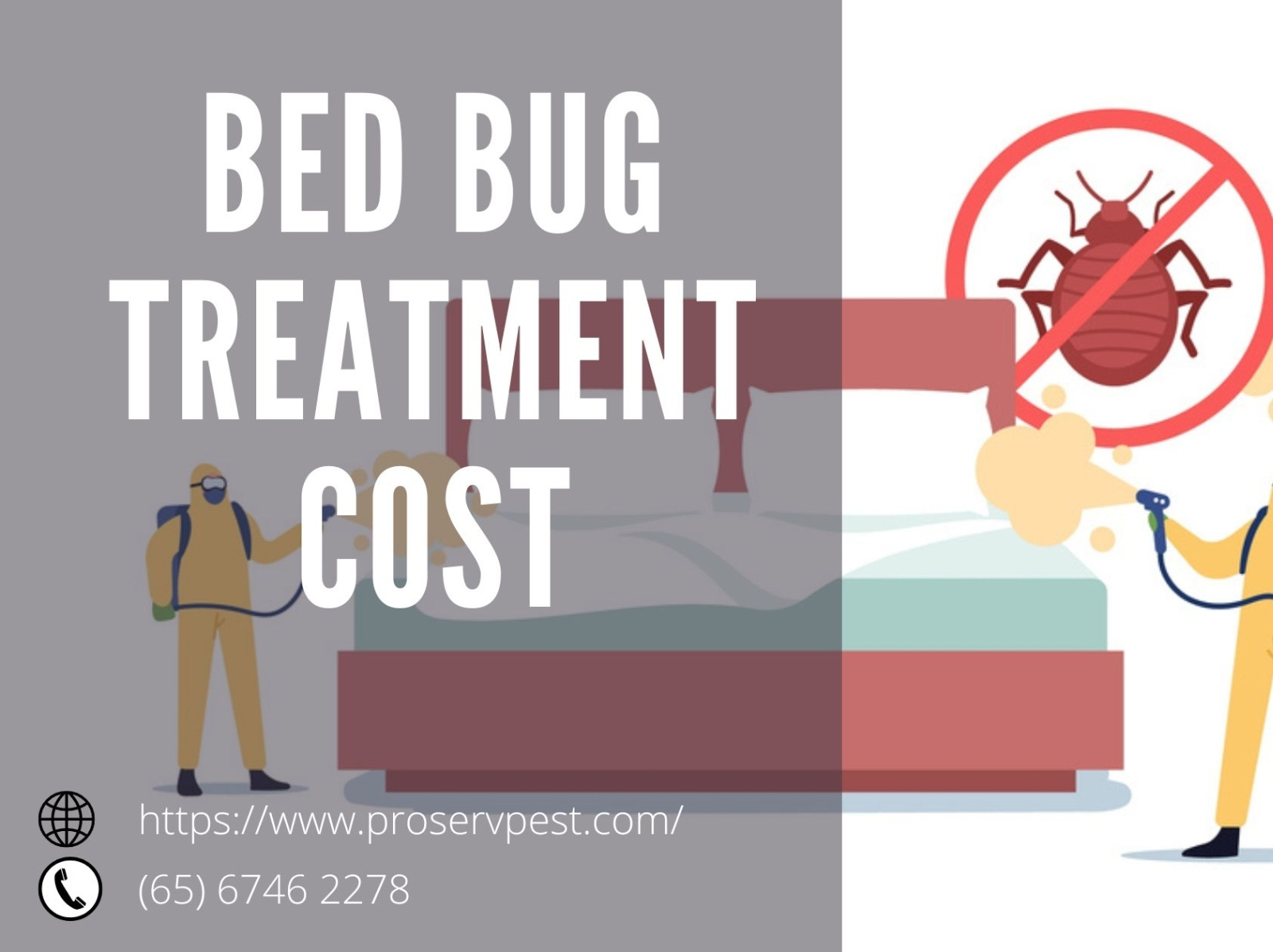 Bed Bug Treatment Cost In Singapore by Proserv Pest on Dribbble