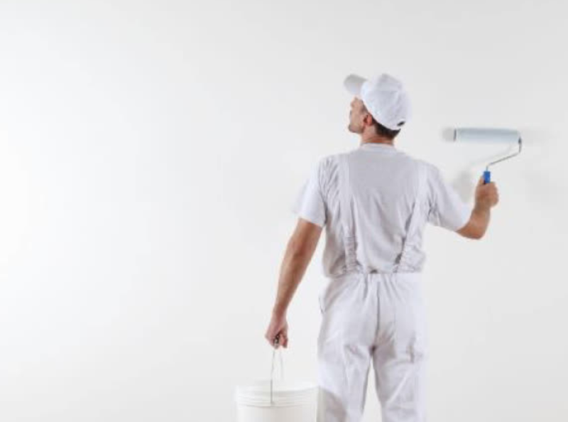 Painters in Edmonton The Complete Guide by stiven joye on Dribbble