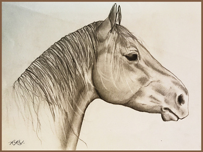 Horse Profile sketchbook