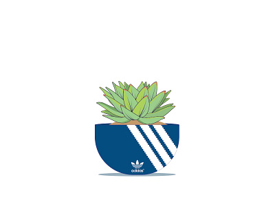 Adidas succulent plant pot adidas hype illustration nike succulent plant vans vector