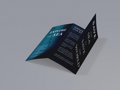 trifold and bifold brochure adobe indesign bifold brochure book design design ebook design graphic design magazine design trifold brochure typography
