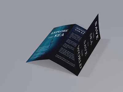 trifold and bifold brochure