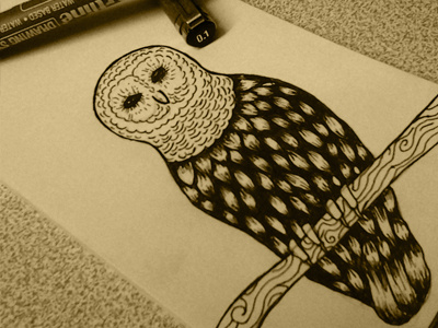 Owl 1ta drawing hosseinyektapour illustratin