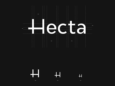 Hecta branding design graphic design logo typography vector