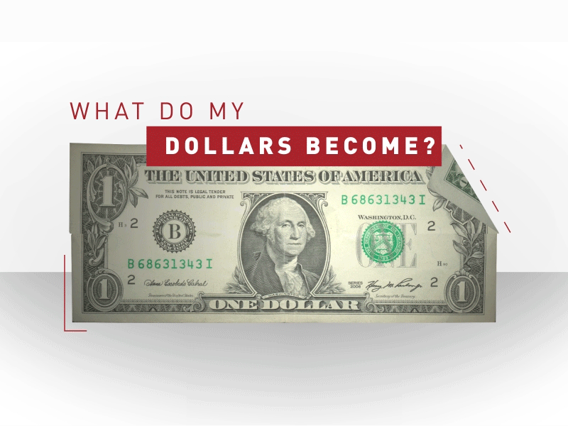 Dollar reveal dollar green motion motion graphics red