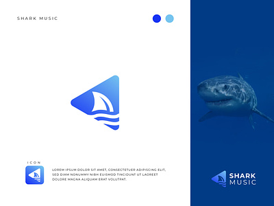 Shark Music Logo