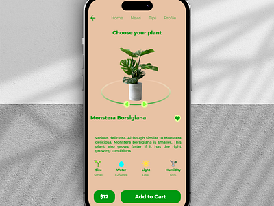 Plan App app design graphic design illustration ui ux