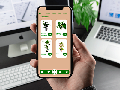 Discovery Plant App app branding design graphic design illustration logo ui ux