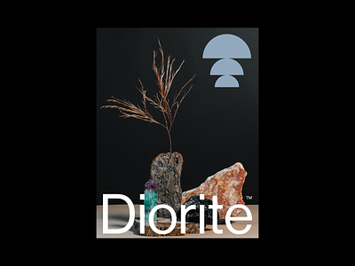 Diorite™ branding diorite eddesignme el salvador identity logo monogram relaxing strategy yoga