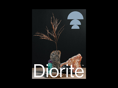 Diorite™ branding diorite eddesignme el salvador identity logo monogram relaxing strategy yoga