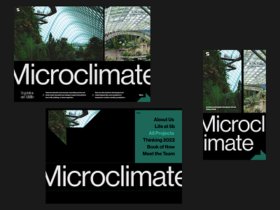 ⬤ Microclimate — Site 156