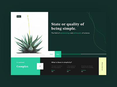 Simplicity concept experience interaction landing simplicity