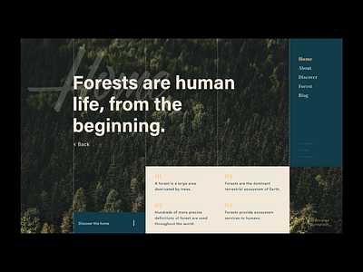 Forest is Human blog daily design forest home inspiration quotes userexperience