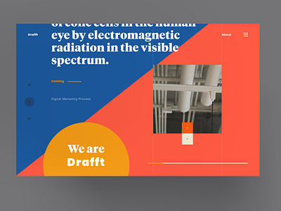 Paper Colour Concept — Homepage