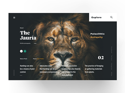 The Jauria — Animal Kingdom building case study daily homepage interaction userexperience
