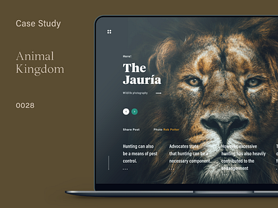 The Jauria — Animal Kingdom Vol. 1 building case study daily homepage interaction userexperience
