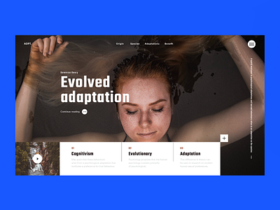 Evolved adaptation building case study daily homepage interaction userexperience