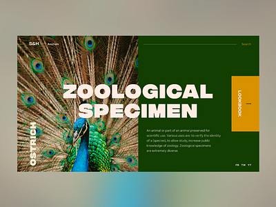 ▴ Zoo Specc / Split Screen preview ▴ artdirection building case study concept daily homepage identity interaction interface typography ui userexperience ux