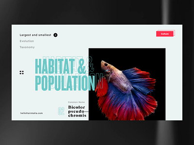 ▴ Taxonomy Fish ▴ artdirection building case study concept daily design homepage interaction typography ui userexperience ux