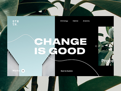 ▴CHANGE IS GOOD▴ artdirection building case study concept daily design homepage interaction typography userexperience