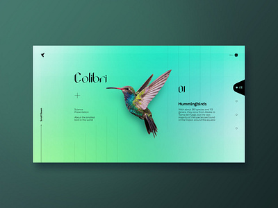 Colibri — Web Design