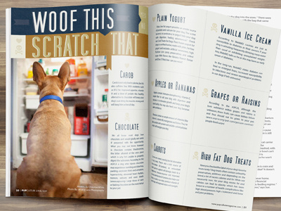 Article Layout Design For Pupculture Magazine canine magazine dog k9 magazine pet business pet industry pets publication design pup pupculture