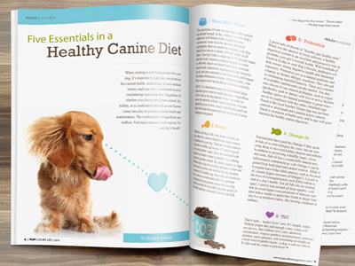 Article Layout Design For Pupculture Magazine2 article design canine dachshund dog magazine pets print publication
