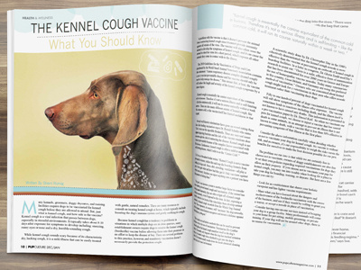 Article Layout Design For Pupculture Magazine3 canine culture dog magazine layout design pet design pets publication design pup