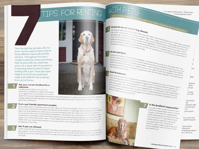 Article Layout Design For Pupculture Magazine4 canine culture dog magazine labrador layout design pet design pets publication design pup