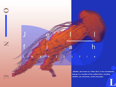 jellfish poster