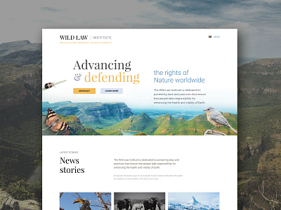 Wild Law Slider photography sliders typography website