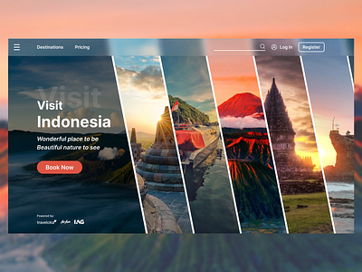 Travel Website Landing Page design ui ux