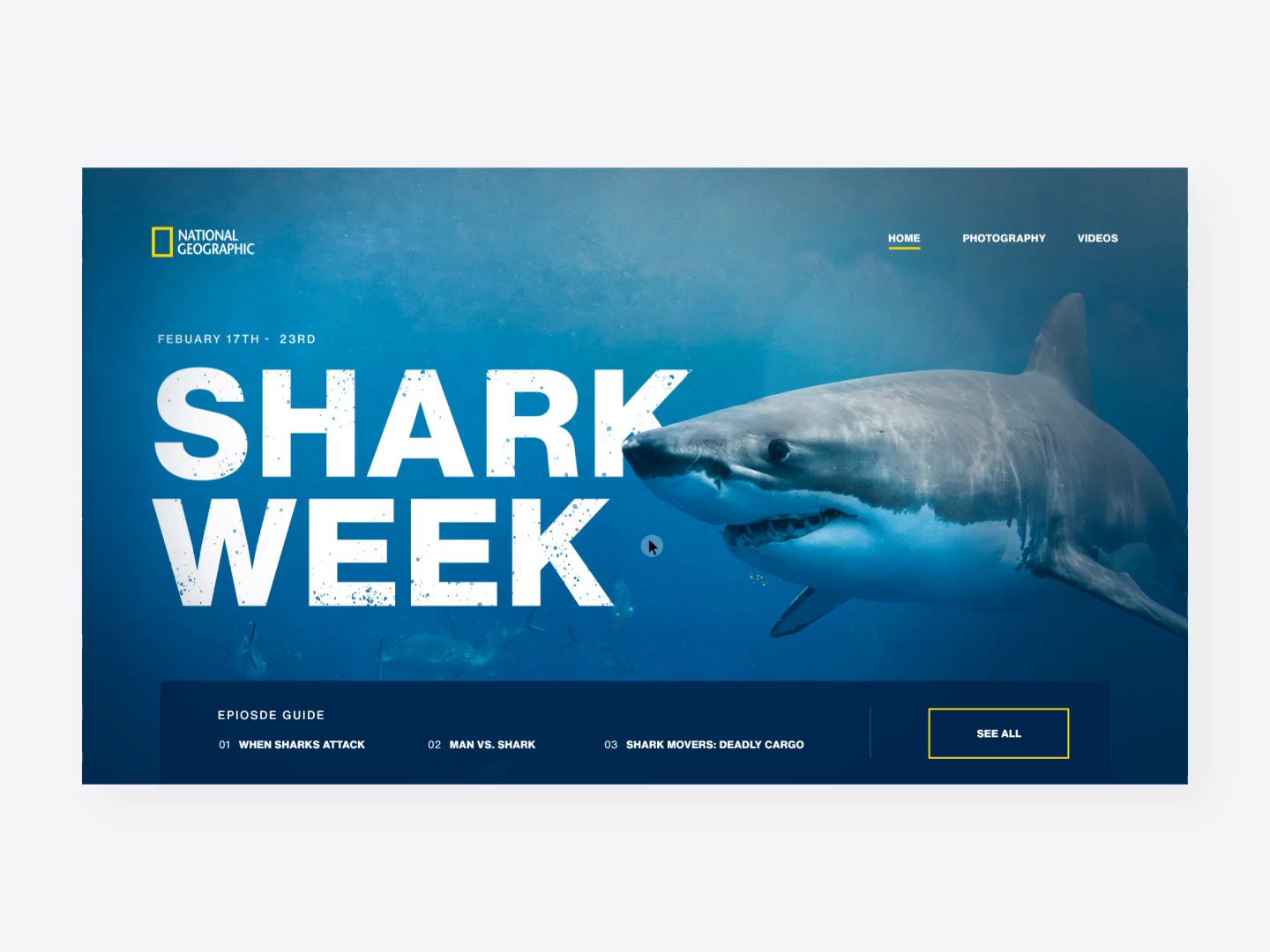 Nat Geo Shark Week 🦈 by Cohen on Dribbble