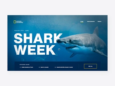 Nat Geo | Shark Week 🦈 after effects animation depth of field interaction interface motion motion graphics natgeo national geographic parralax shark week sharkweek ui ux website