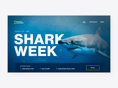 Nat Geo | Shark Week 🦈 after effects animation depth of field interaction interface motion motion graphics natgeo national geographic parralax shark week sharkweek ui ux website