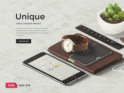Day 019 | For your web projects